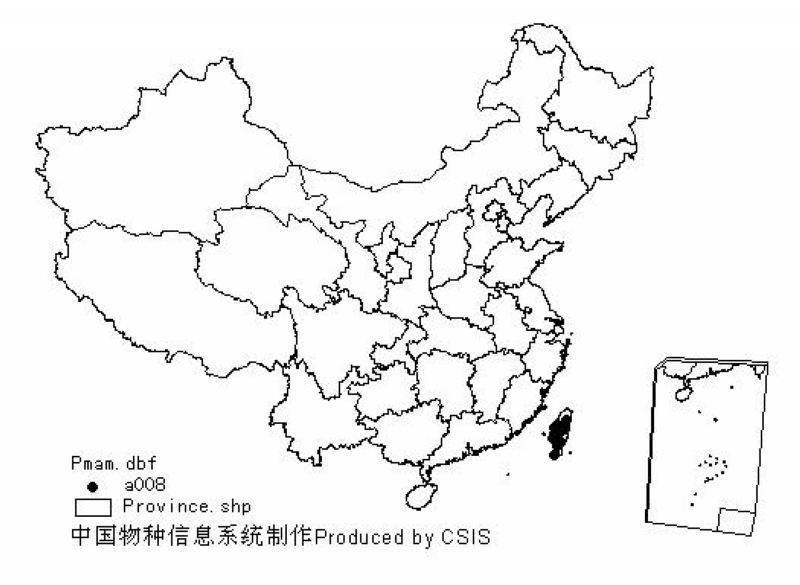 p>台湾猴 i>(macaca cyclopis swinhoe /i>),为中国特有种,体形酷似