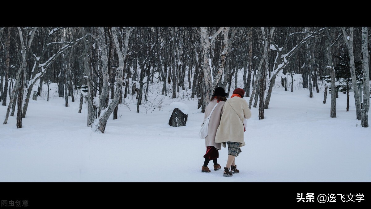 情书电影剧情结局「介绍」 _晶羽科技