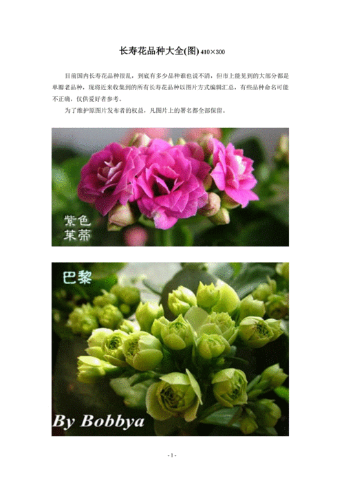 长寿花品种大全(图).doc