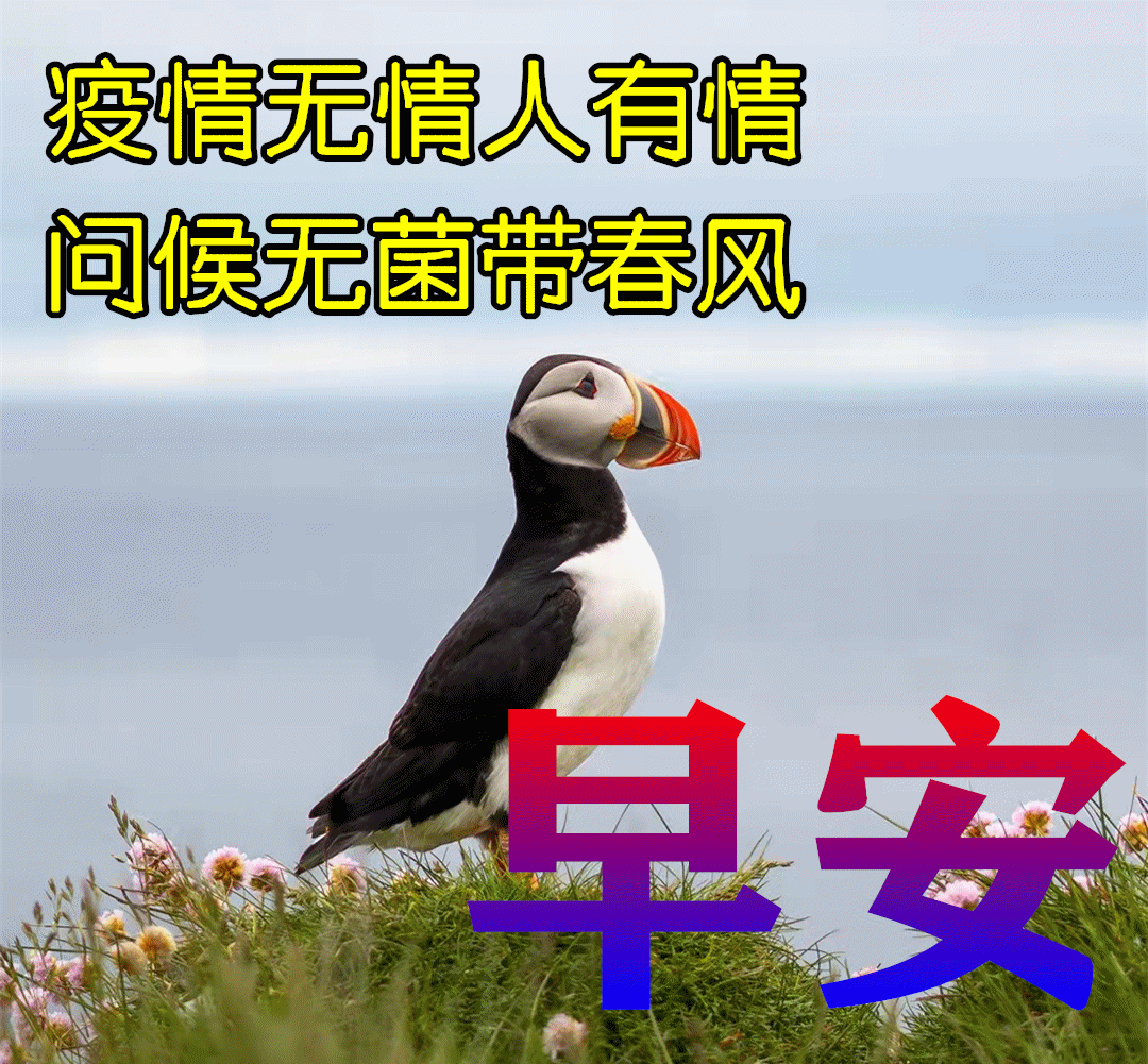 9张最新防护疫情早安问候祝福图片精选周二非常时期关心问候早上好