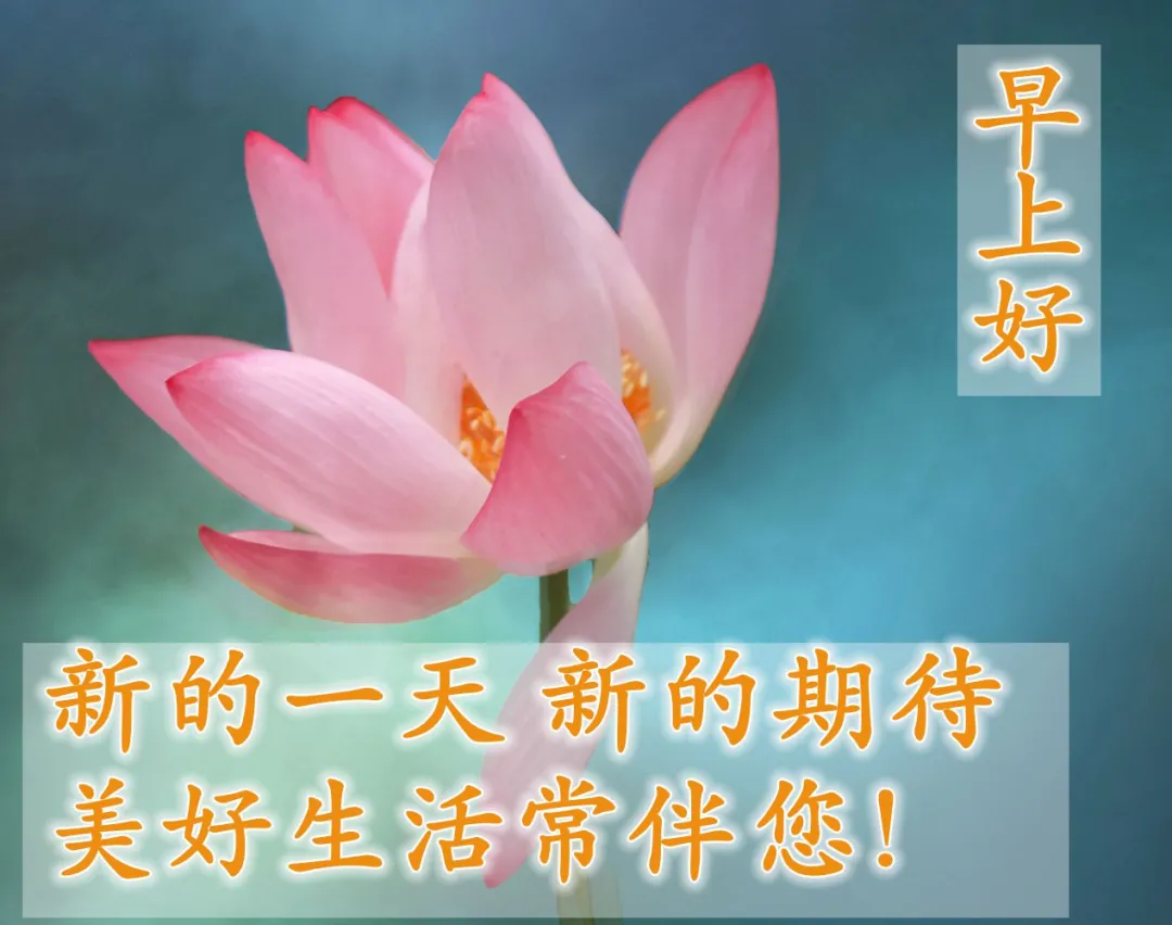 大家早上好的漂亮表情图片最美早晨好问候语图片