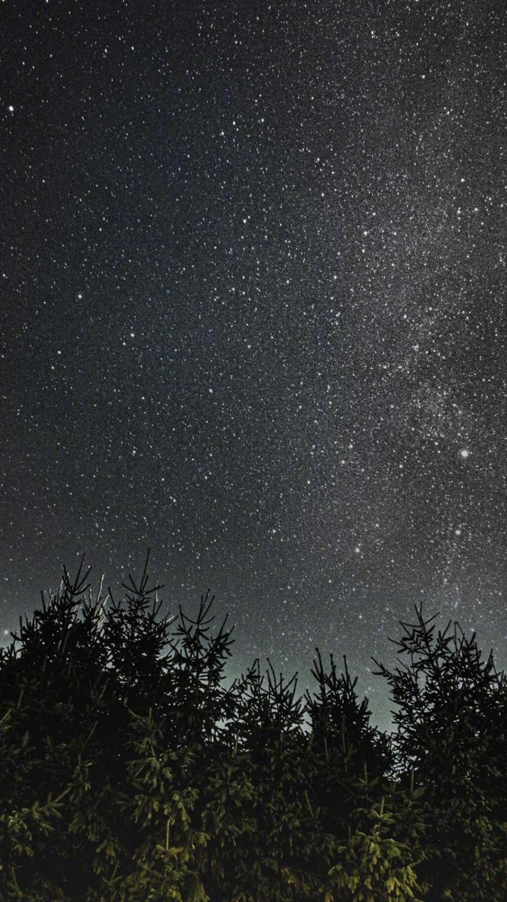迷人的夜晚星空美景