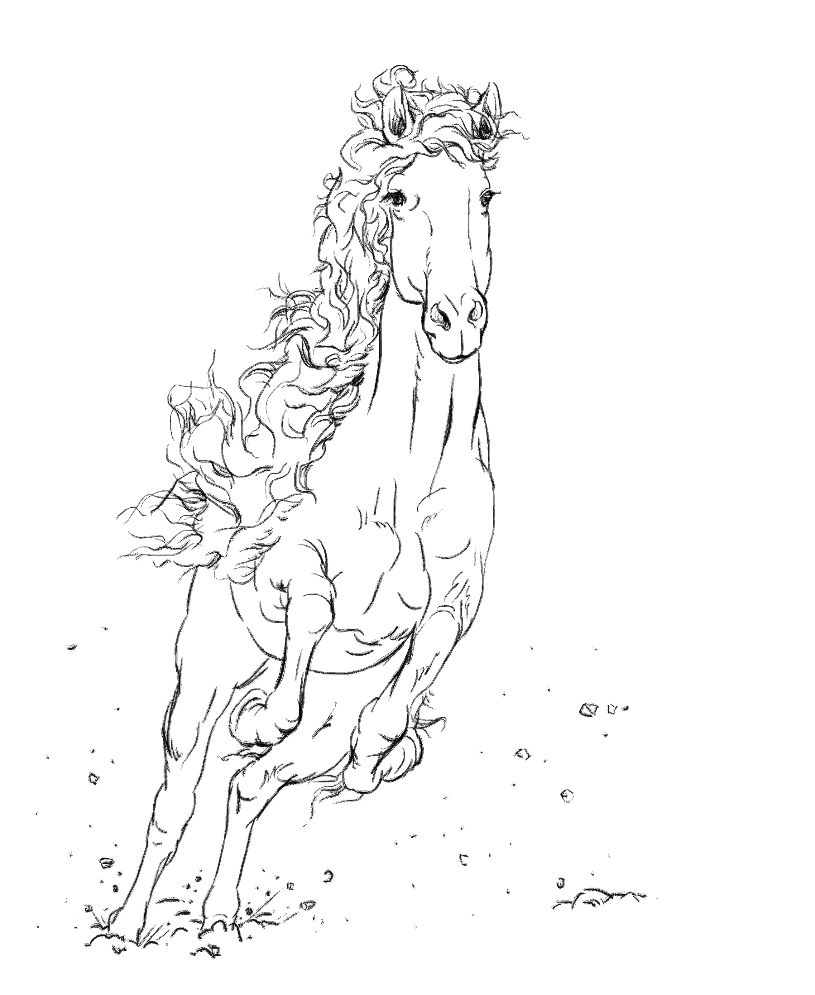 线描的马,工笔画参考资料(5).