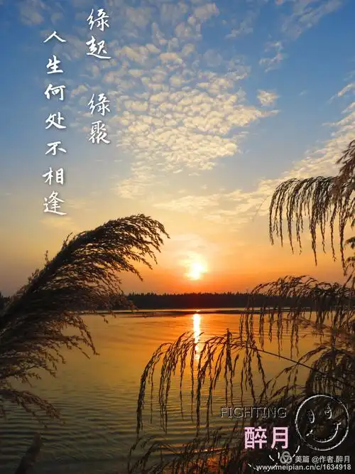 尘世间有一种唯美叫《诗情画意》