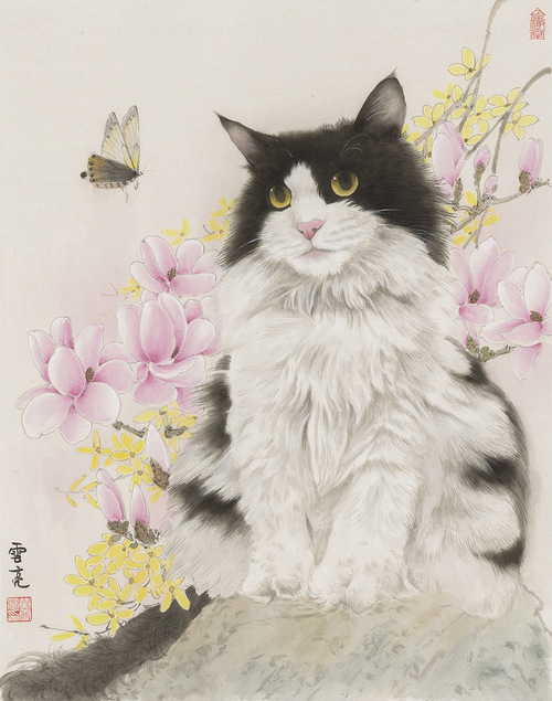春光里的猫咪 云亮国画画猫