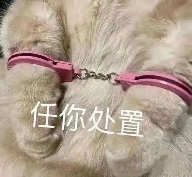 情侣套路表情包#表情包