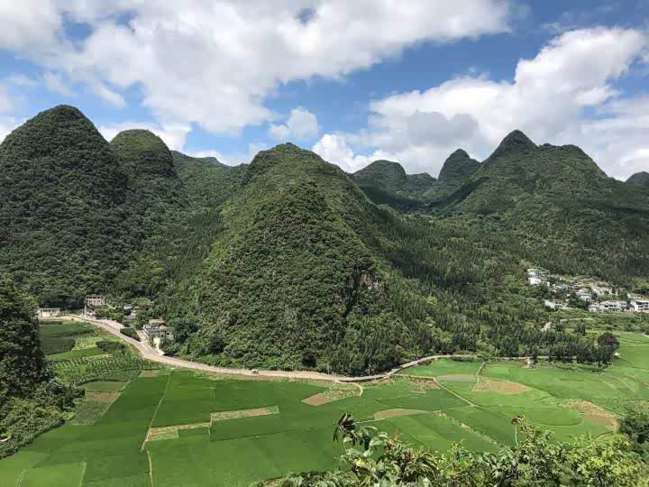 万峰林里一座座小山包拔地而起.组合成一个景区