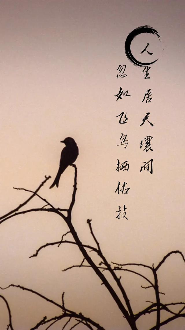 壁纸分享,国风诗词文字手机壁纸