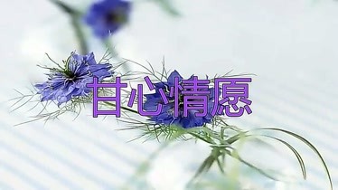 郭峰一首甘心情愿永恒的经典老歌旋律令人回味无穷