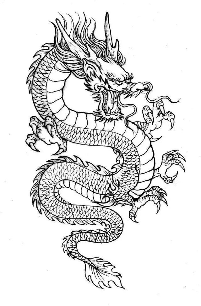 二月二,不知道画什么?龙纹线稿示范教你画,0基础快来临摹学习