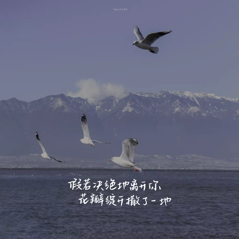 朋友圈背景图|微信封面页