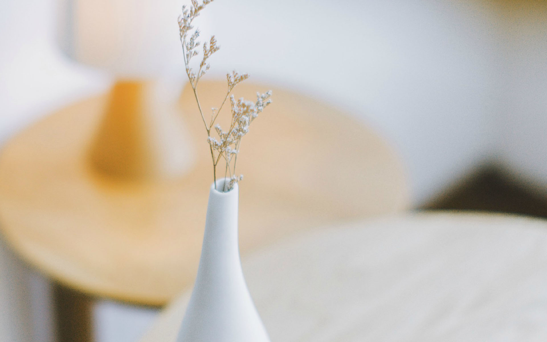 日系小清新静物治愈系唯美高清壁纸