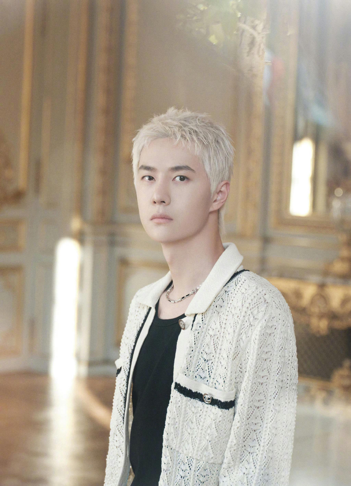 香奈儿品牌形象大使身穿chanel