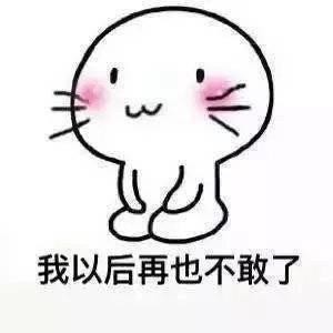 跪下道歉的表情包合集