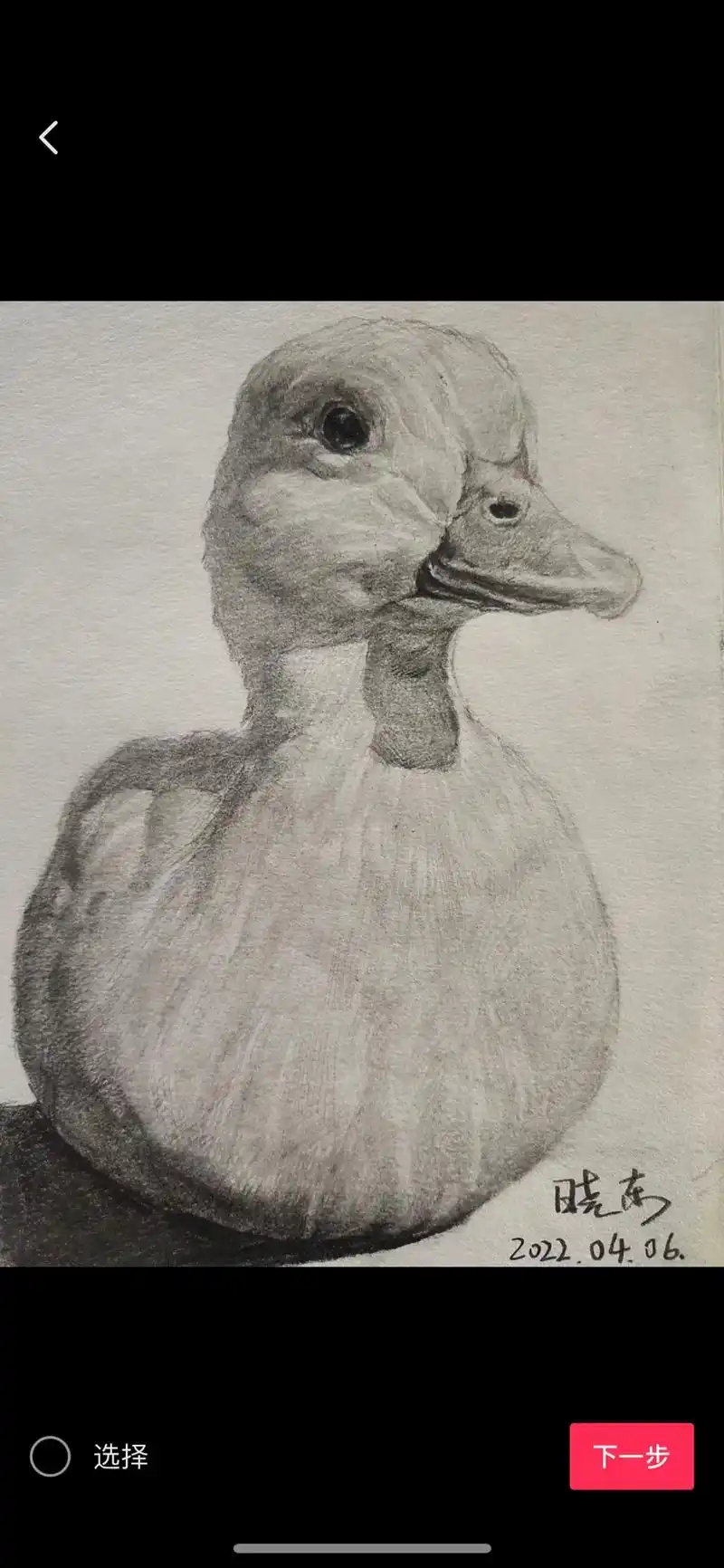 素描鸭子素描小动物素描动物一起学素描初学者素描