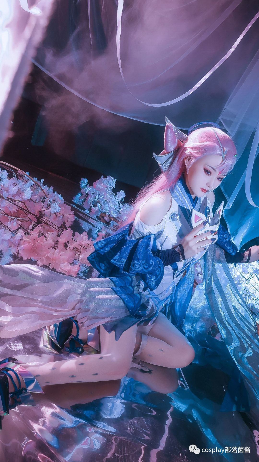 cos:王者荣耀貂蝉猫影幻舞cos正片@万万_摄影_白鹰_神明