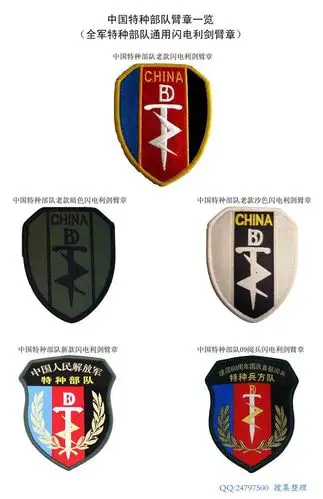 中国特种部队臂章一览组图