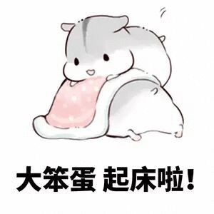 大笨蛋起床啦搞笑表情包斗图表情
