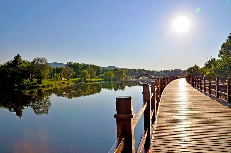 伊春回龙湾木雕园公园美景