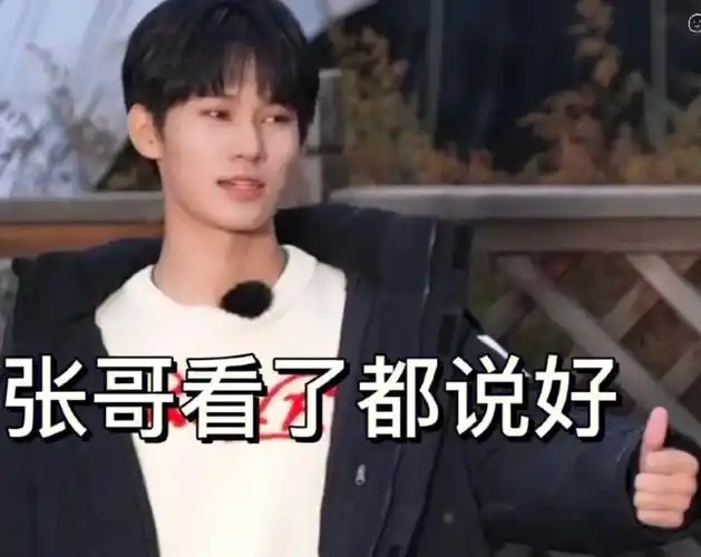 tnt时代少年团  #时代少年团表情包  #表情包