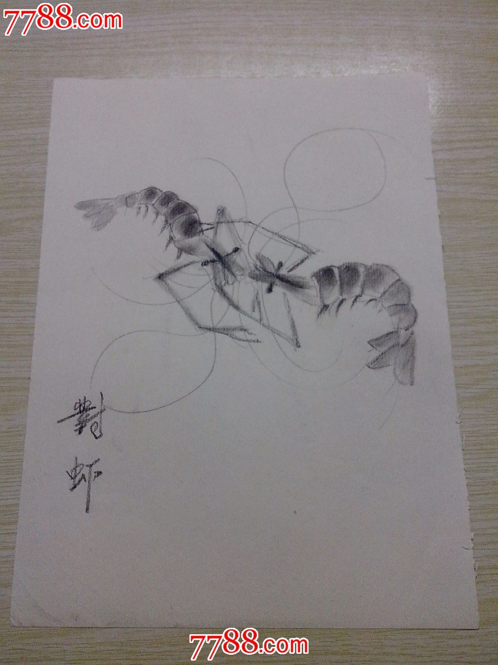 菜单 编号:素描/速写: se20844396,gang001014 属性:铅笔画原画,,动物