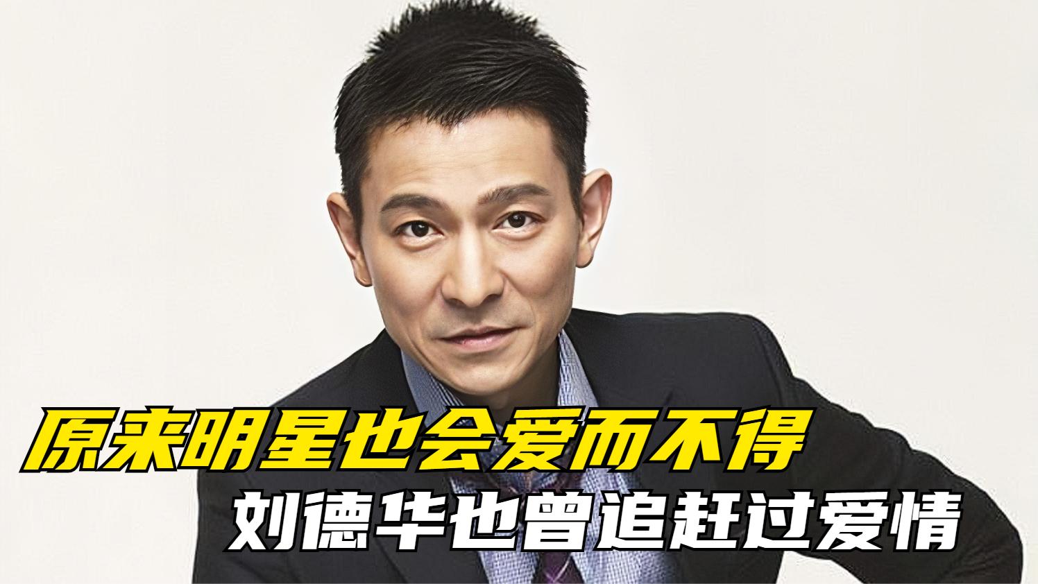 原来明星也会爱而不得,刘德华长得帅也被甩,刘涛暗恋撒贝宁十年