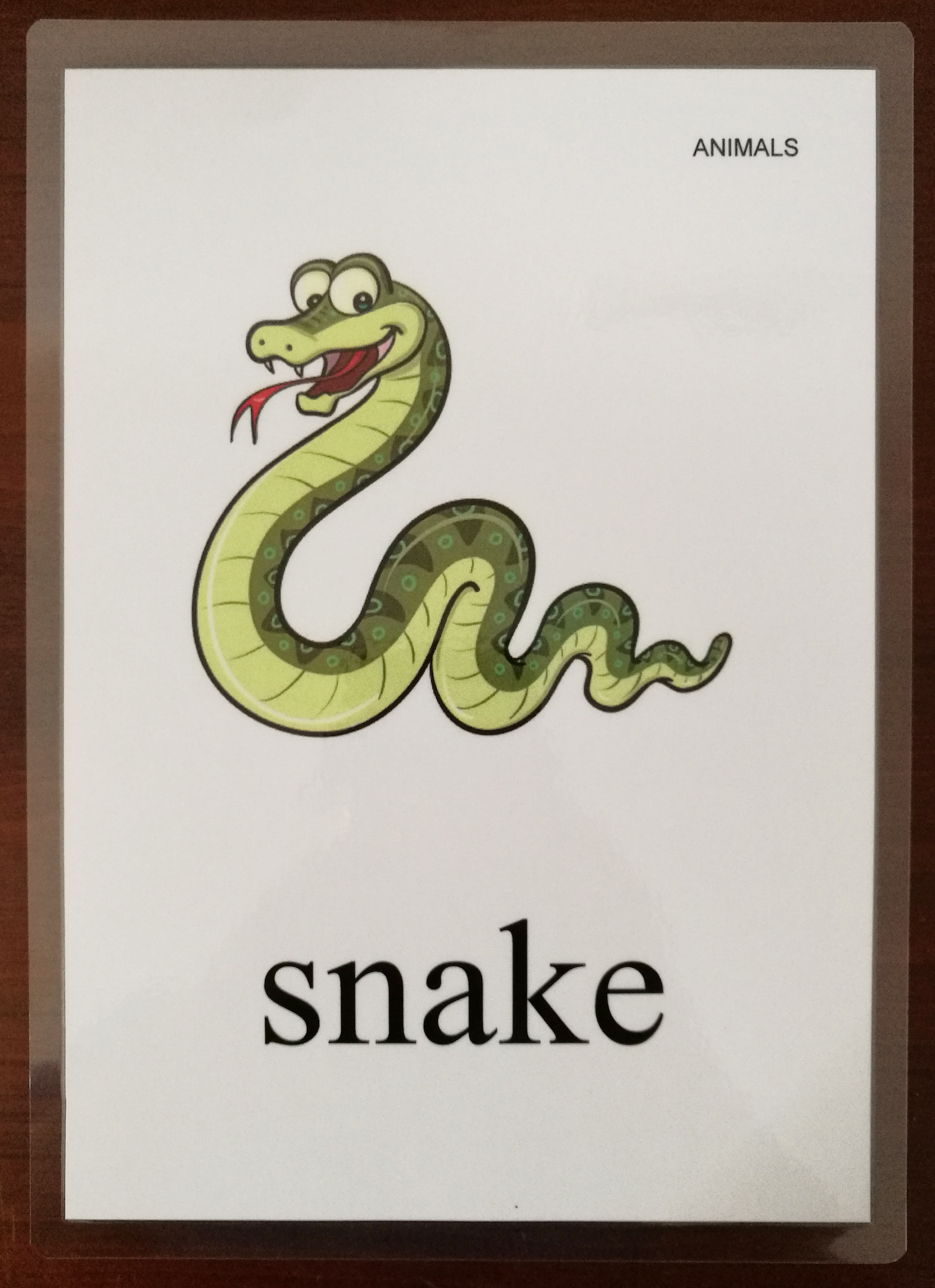 (动物)少儿英语单词学习大卡片游戏闪卡彩图过塑封老师教具