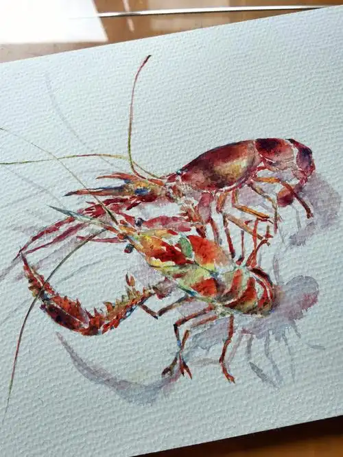 水彩画小龙虾原创写生