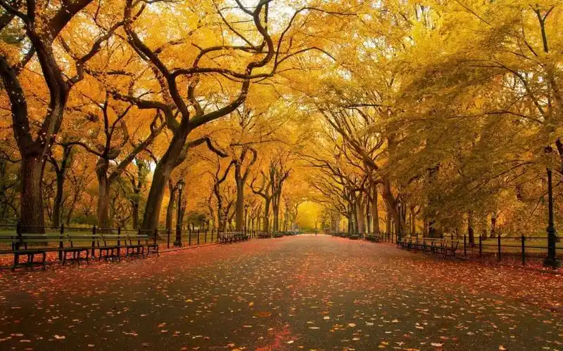 公园全高清壁纸和背景,高清图片,壁纸,摄影 - 天下桌面