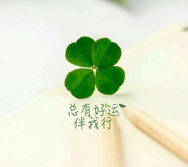 简约四叶草,望赞79_唯美图片_我要个性网