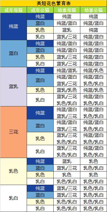 如何繁育出好看的猫咪幼崽?猫:放着我来!