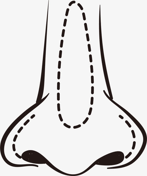 关键词 : 鼻子,整容医院,医疗美容,隆鼻,卡通,面部五官,化妆,鼻部