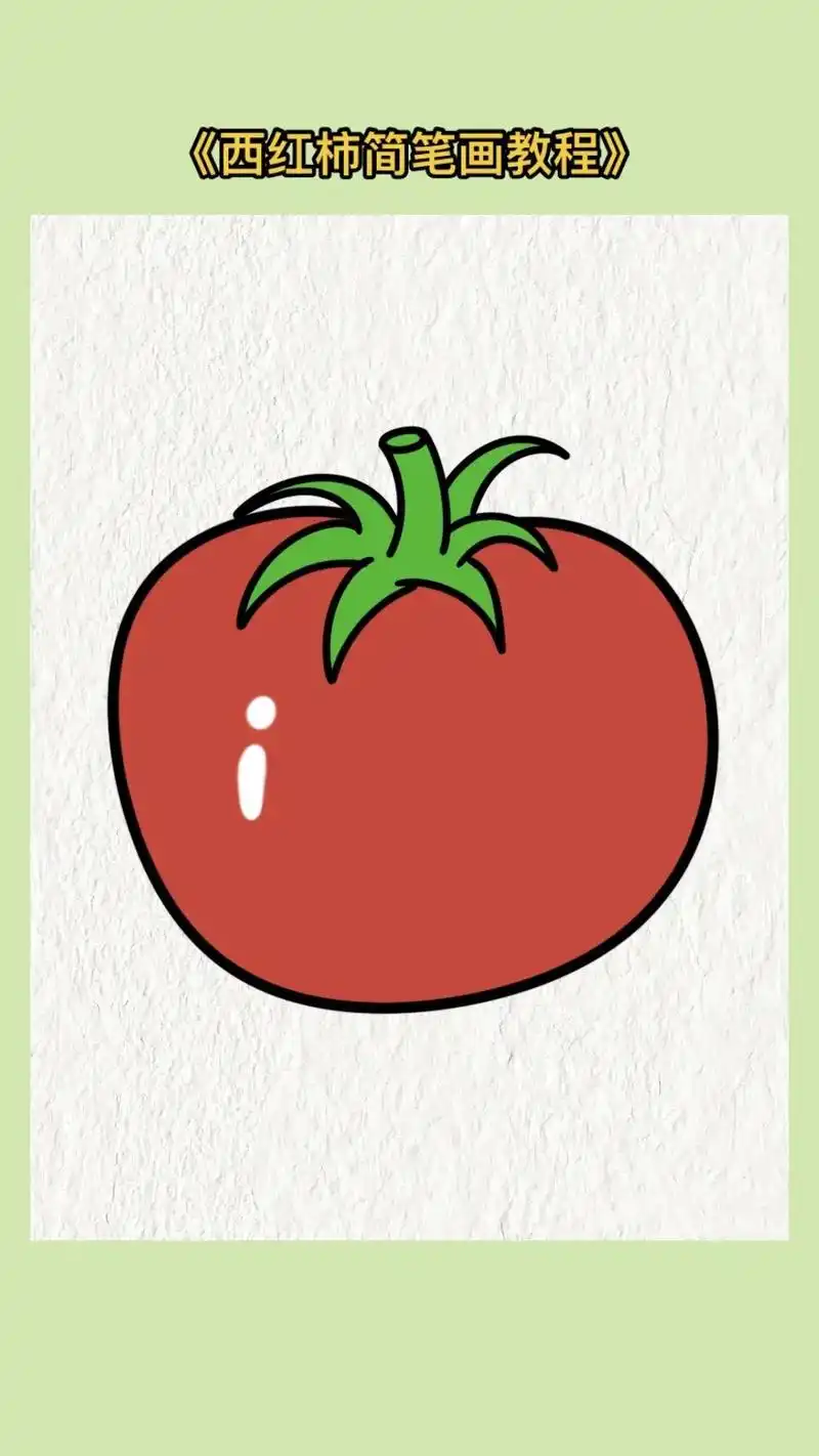 西红柿简笔画教程下方画一个椭圆涂上颜色就完成了