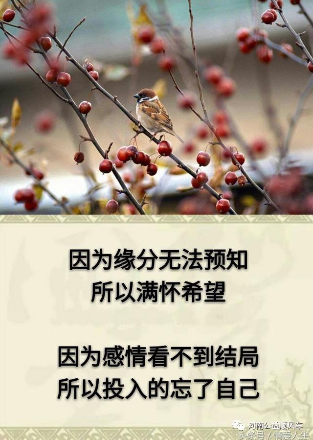 听不完的谎言看不透的人心走不完的人生