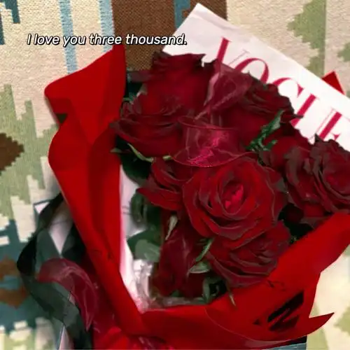 花草分享传奇玫瑰