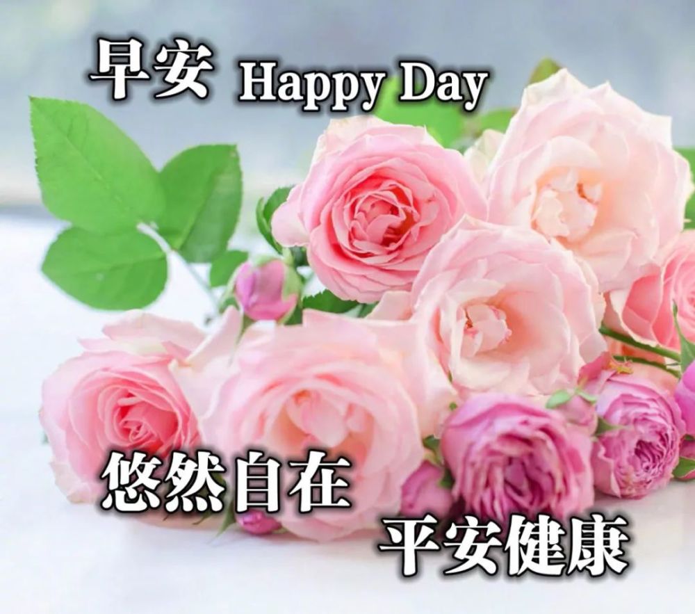 2021秋日创意唯美早上好祝福语图片大全免打字 秋日清晨早安问候语