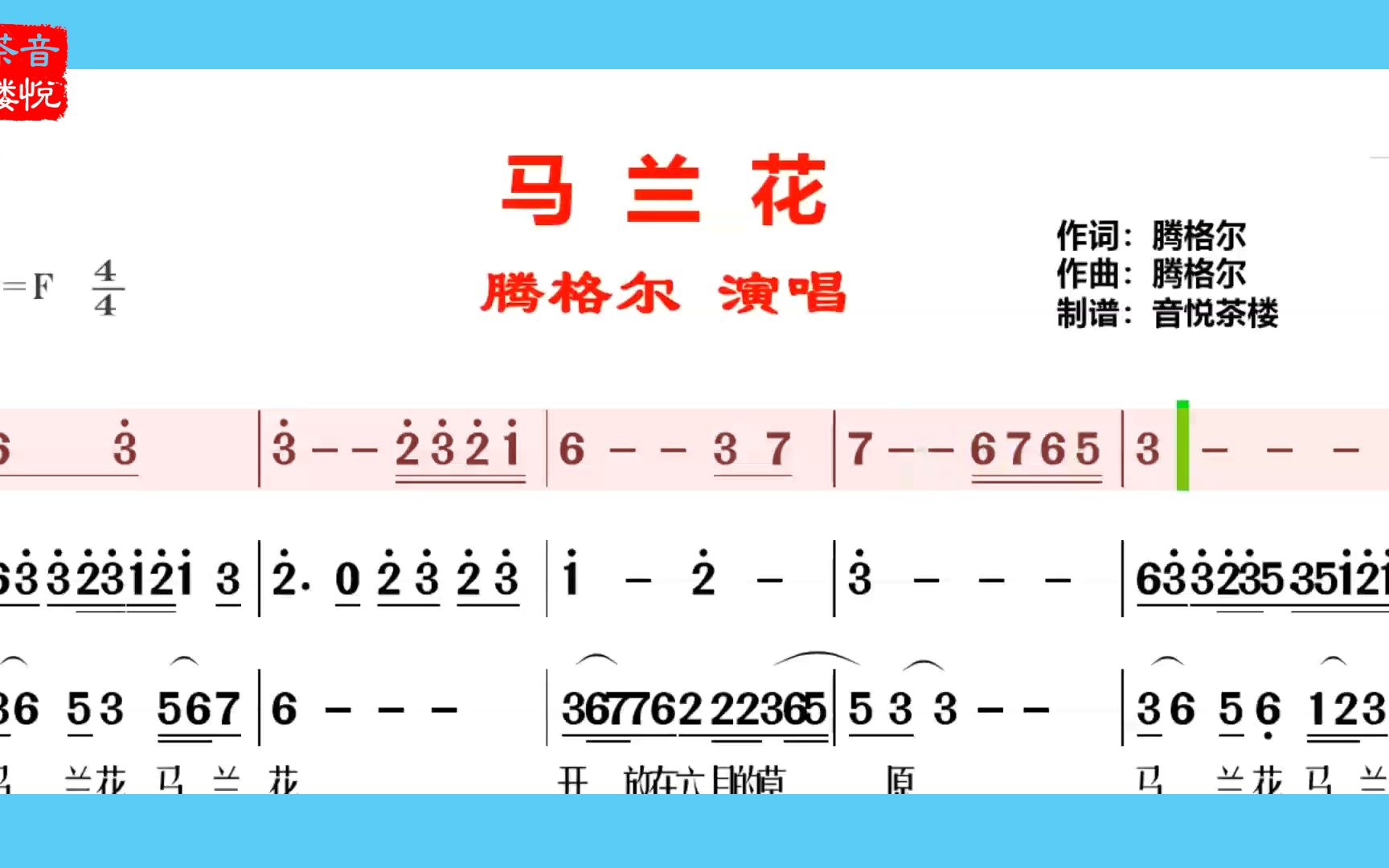 腾格尔马兰花展现出探及灵魂的深情仿佛遍地马兰花就在眼前