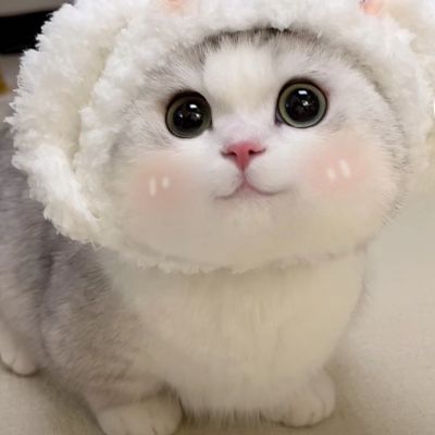 可爱猫咪头_微信头像_我要个性网
