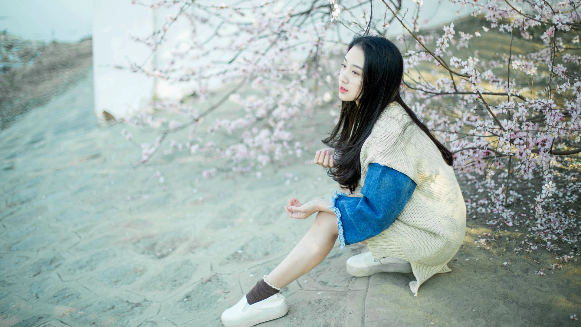 樱花女孩唯美清新电脑桌面壁纸