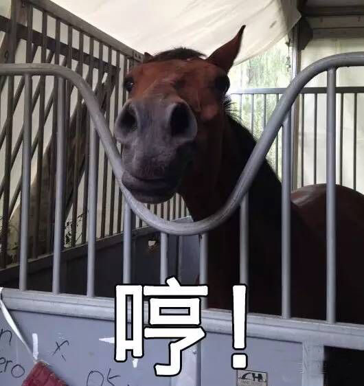 极尽搞怪的马儿表情包_高清图集_新浪网