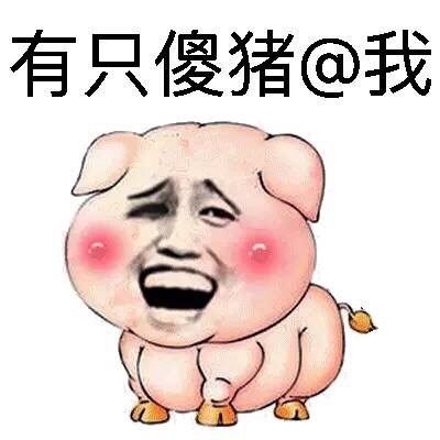有只傻猪@我 - 壮硕的猪猪猪猪_肥猪_装逼_好玩表情