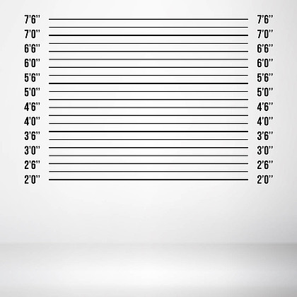 【白色背景图线】图片免费下载_白色背景图线素材_白色背景图线模板