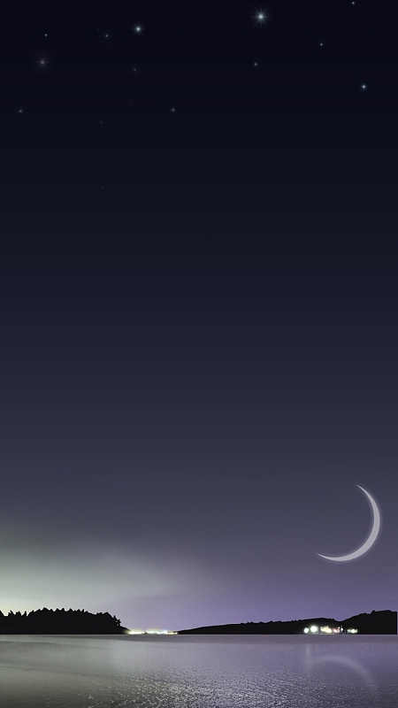 浅紫色渐变月夜星空h5背景素材(1280x1920)png梦幻手绘玫瑰牡丹背景墙