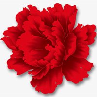 大红牡丹花微信头像图片大全【点击鼠标右键下载】
