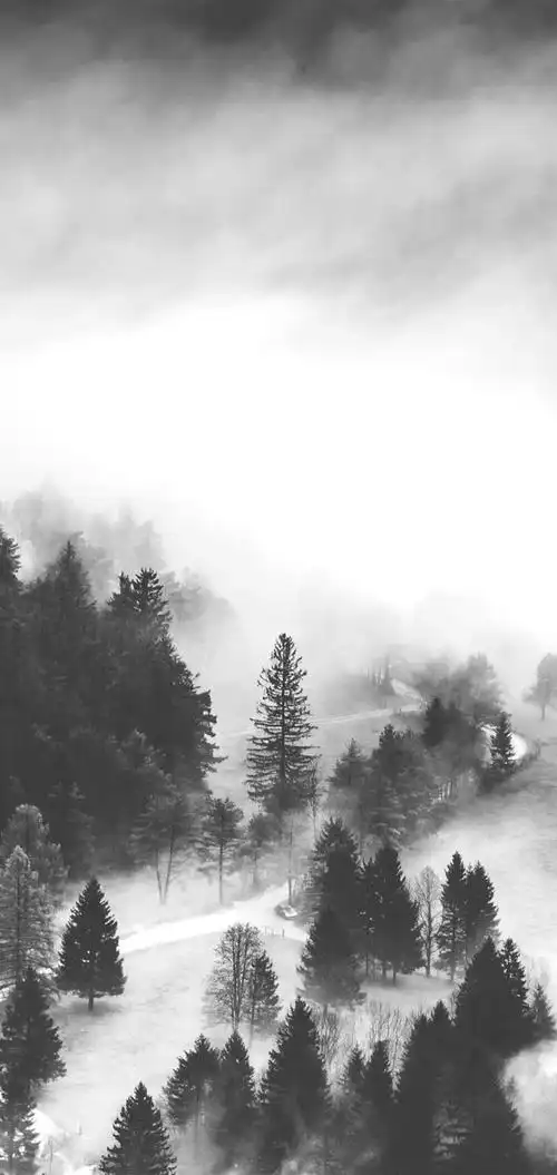 求性冷淡风壁纸