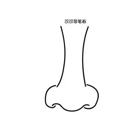 鼻子简笔画 鼻子简笔画怎么画