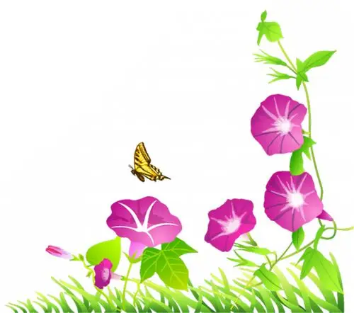 首页 设计元素 装饰图案 装饰图案 >牵牛花藤蔓边角修饰png图片素材