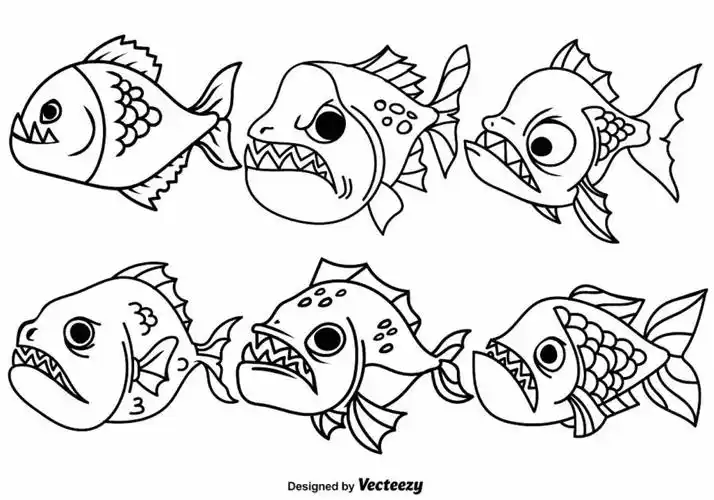 食人鱼鱼矢量轮廓图标