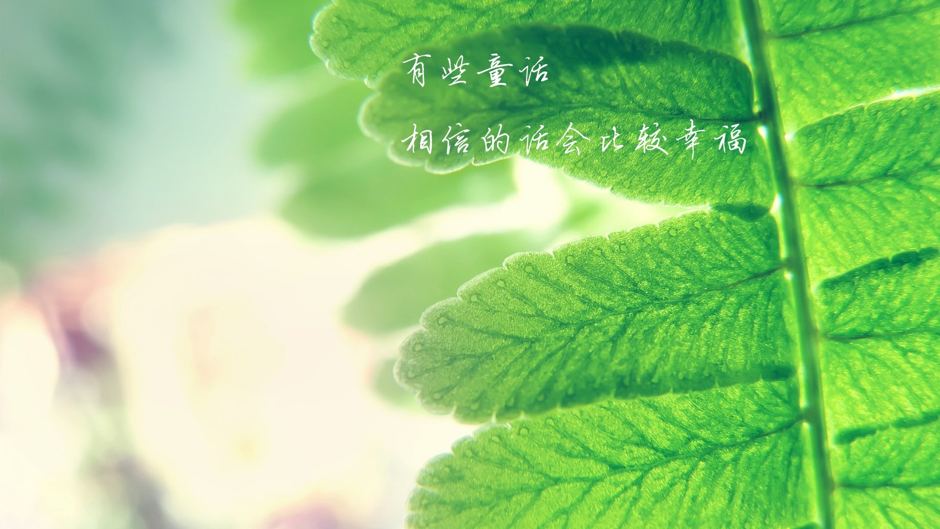 文字绿叶童话文字控壁纸