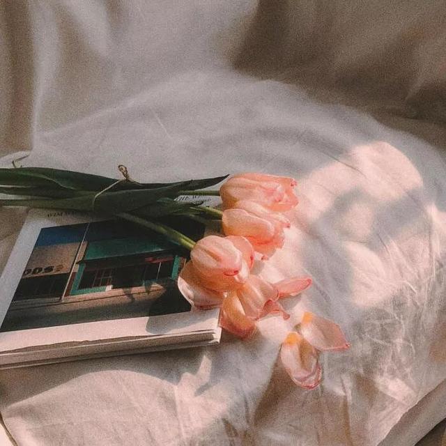 抖音封面图,火爆的朋友圈,最流行的封面